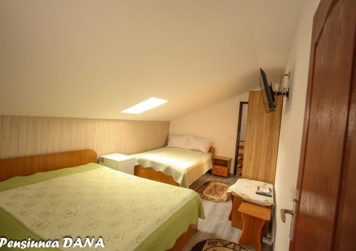Pensiunea DANA