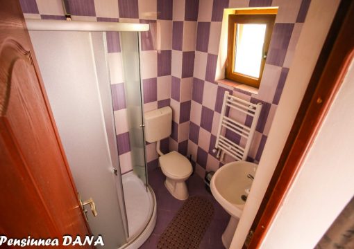 Pensiunea DANA