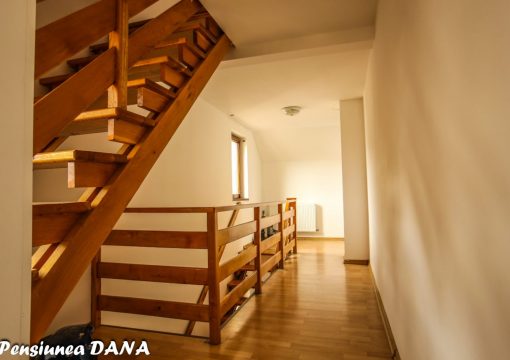 Pensiunea DANA